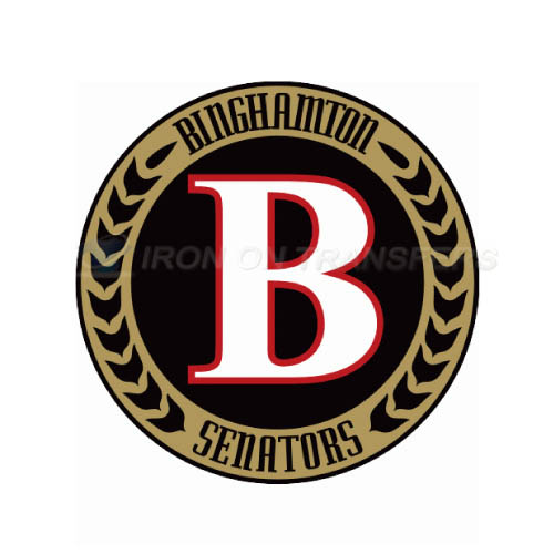Binghamton Senators Iron-on Stickers (Heat Transfers)NO.8977